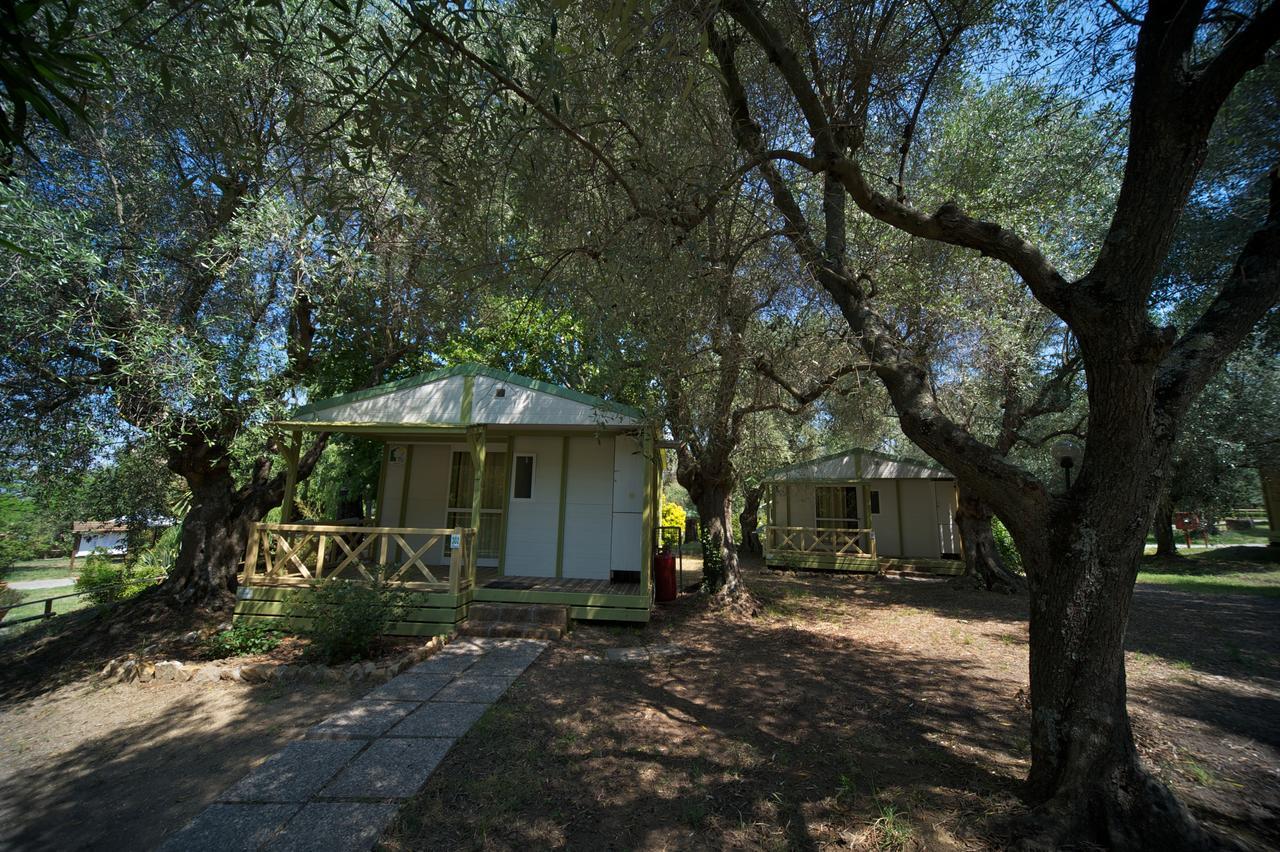 Villaggio Turistico Camping Il Fontino スカルリーノ エクステリア 写真